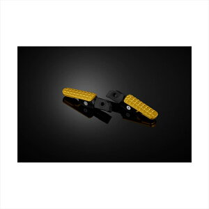 oCNp[c XebvoCJ[Y AtbgXg CgS[hH0576-LGD 4550255535001CBR650R/CB650R 19-24