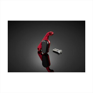 oCNp[c OoCJ[Y tgLp[K[h bhH0719-RED 4550255571375ADV160 23-24 ADV150 20-22