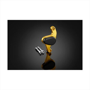 oCNp[c OoCJ[Y ALp[K[h CgS[hH0723-LGD 4550255571443ADV160 23-24 ADV150 20-22