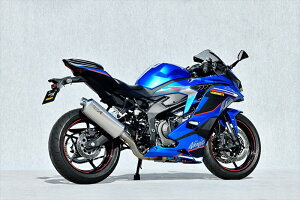 oCNp[c }t[}g[VO SPEC-A TI4-2-1 DOWN TYPE-S ZX-4R 8BL-ZX400P40409-21NSN 4521717301984