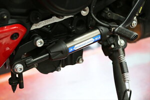 �o�C�N�p�[�c �O��AELLA(�A�G��) �p�t�H�[�}���X�_���p�[ DUCATI DIAVEL V4AA-ACT0034550646147943