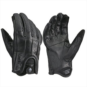 y5OŔzoCNp[c EFAfCgi DG021h[~[U[BK/XL61773 4909449658192