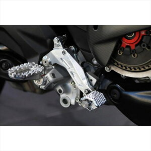 oCNp[c XebvAELLA(AG) u[Ly_EnCWX^[^Cv :|bV MultistradaV4 /RSAE-46027-PO4573641256373