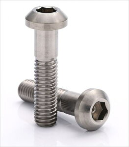 �o�C�N�p�[�c �����e�i���X��TITANIUM(�x�[�^�`�^�j�E��) �i�x�{���g �W�� M4×25 BT-TIPC-04025-DY4589678375888