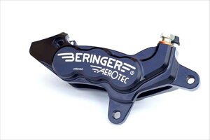 �o�C�N�p�[�cBERINGER(�x�������K�[) 6P �A�L�V�����L�����p�[ �E �O���[��H02A-GR4550255748968