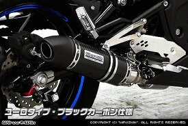 バイク用品 マフラーウイルズウィン WirusWin ダイナミックマフラー ユーロ BLKカーボン NINJA400R ER-4n EBL-ER400B1402-27-03 4548916464654取寄品 セール