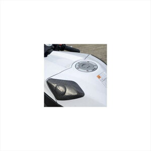 oCNp[c OA[AhW[ ^NK[hXC_[ J[{RG-TS0006C 4571381481024YZF-R1 09-14