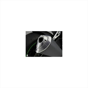 oCNp[c }t[AOX }t[GhLbv 403-483-000 4548664836239ZX-10R 10