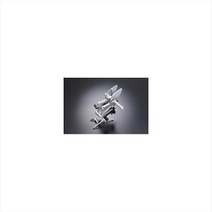 �o�C�N�p�[�c �X�e�b�v�c���m�e�N�j�J���T�[�r�X ���[�V���O�X�e�b�v�L�b�g TYPE-R 070112AR-2G 4548664859832CBR250R 11- 50-50 G�^�C�v