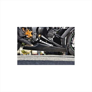 oCNp[c OTC^jt@Ng[ A_[JE J[{D 3K6ZX10UC-CB 4550255199753ZX-10R 16-