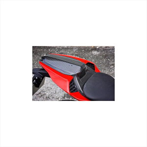 oCNp[c OTC^jt@Ng[ ^fV[gJo[/Q EB9S10TSC-W 4550255451394S1000RR(K67)19-