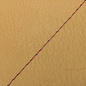 O V[gJo[  ANVXg[g SE53J yF/ԃXeb` GH5692YC490S40 4573317983985i