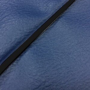 O V[gJo[  ANVXg[g SE53J lCr[/pCsO GH5692YC530P10 4573317985125i