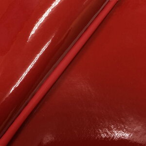 O V[gJo[  ANVXg[g SE53J Gibh/ԃpCsO GH5692YC560P40 4573317985590i