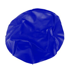 �o�C�N �X�[�p�[�f�B�I Dio/ZX(AF27/AF28) �V�[�g�J�o�[ �� ���ւ� �����V�[�g��C�p ���{�� �A���o