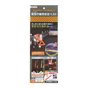 oCNpi eiXG[ amon ً}ƗpSxXg6902 4905034069022