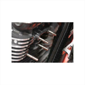 �o�C�N�p�[�cBAGUS! MOTOR CYCLE(�o�O�[�X���[�^�[�T�C�N��) �`�^���X�^�b�h�{���g BG-TSB02A4550255353322ZEPHYR1100