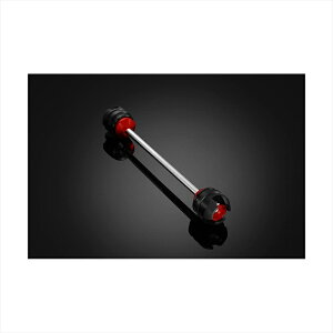 oCNp[cBIKERS(oCJ[Y) tg ANXXC_[ bh H0230-RED4548916422210DAX125 22-24 GROM 13-24 MONKEY125 18-24