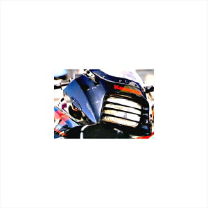 �o�C�N�p�[�c �d���n�v���W���[ �w�b�h���C�g���[�o�[ L.GRN PK1013 4520616494827GPZ750/900R