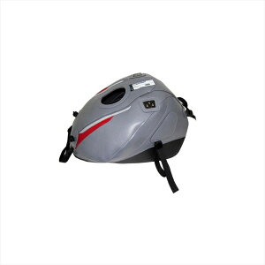 oCNp[cBAGSTER(oOX^[) ^NJo[ X`[O[/Vo[/bh 1655K4550255457839STREET TRIPLE R/S/RS 13-22