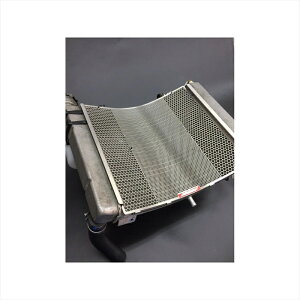 �o�C�N�p�[�c ��p�n�G�b�`���O�t�@�N�g���[ ���W�G�^�[�K�[�h �G���u������ RGH-NSR250-00 4549950869955NSR250R(MC21/MC28)