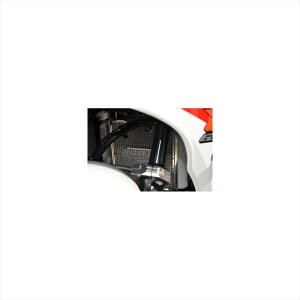 �o�C�N�p�[�c ��p�n�A�O���X �R�A�K�[�h B�^�C�v/���S�� 309-307-B00 4550255253301GSXR-125/-S125