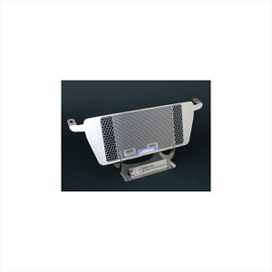 oCNp[c pnGb`Ot@Ng[ ICN[[K[h Gu OGB-S1000-01 4550255334093S1000RR 19