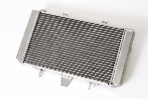 oCNpi pnV{_} V{ eʃWG^[ ZRX1200R 4548664097869