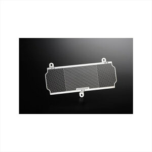 oCNp[c pnGb`Ot@Ng[ ICN[[K[h Gu OGK-ZEPHYR1100-00 4548916337880ZEPHYR1100 02-06