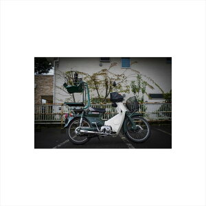 oCNp[c }t[zbgbv _E}t[ ^Cv1 CUB-1 4548916787203X[p[Ju50