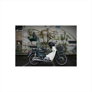 oCNp[c }t[zbgbv _E}t[ ^Cv2 CUB-2 4548916787210X[p[Ju50