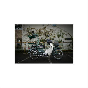 oCNp[c }t[zbgbv hbO}t[ CUB-DG 4548916787234X[p[Ju50