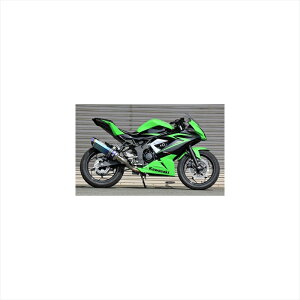 oCNp[cBEET(r[g) iT[gR-Evo TYPE2 NATI 1003-B24-504582346461999Ninja250SL ST250Fp[VO}t[