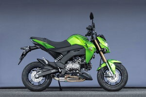 oCNpi }t[}g[VO }g.R SPEC-A DOWN ^Cv1 Z125PRO 16-(2BJ-BR125H)40114-71DT1 4521717301236