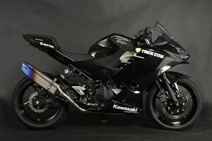oCNp[c }t[gbNX^[ [VOtEXCJd` RFS-015E-L4YT 4560417409736Ninja250/400 18-