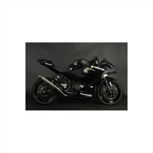oCNp[c }t[gbNX^[ [VOtGL _ O RFS-015E-03RL 4560417409750Ninja250 18-