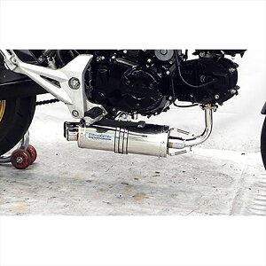 oCNp[c }t[ECYEB cCe[_E}t[ 4550255351199O1^(MSX125)