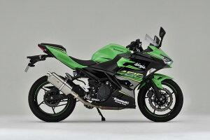 oCNpi }t[}g[VO }g.R SPEC-A S O TYPE-S F Ninja400 18-40406-01NSB 4521717301397