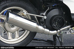 バイク用品 マフラーウイルズウィン WirusWin テイストマフラー Dio(AF62.68)1152-57-01 4548664913121
