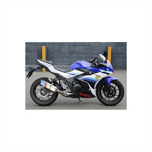 oCNp[c }t[gbNX^[ {FS/O CJd` JSS-309-L6YT 4560417406605V[g GSX250R