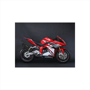 oCNp[c }t[gbNX^[ [VOS/O CJd`ubNEDRSS-109-L4BT 4573269962373CBR250RR 17-23