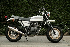 oCNp[c }t[RPM(A[s[G) 80D-RAPTOR Titan APE100 TYPE-D(EBJ-HC13)6036Y4582287242824