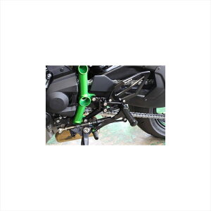 �o�C�N�p�[�cWOODSTOCK(�E�b�h�X�g�b�N) �o�b�N�X�e�b�v�L�b�g 4POS/BLK WBS-K32-BB-EP4548916534074Ninja H2 �ϋv�y�_��