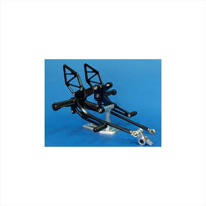 oCNp[cWOODSTOCK(EbhXgbN) XebvLbg 9POS/BLK WBS-D02-BB4547567444992DUCATI 1098