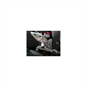 �o�C�N�p�[�c �X�e�b�v�A�O���X �o�b�N�X�e�b�v 4�|�W�V���� 312-487-000 4548664497249ZX-10R 11
