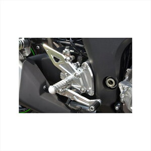 �o�C�N�p�[�c �X�e�b�v�A�O���X �o�b�N�X�e�b�v 4P 312-493-000 4548916234233Z1000 14ABS��p