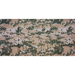 oCNpi wbg wbgCY PIPES V[XEFA SS PPS-053RIDEZ 4527625100152 i