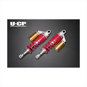 oCNp[c E`JX^p[c IWiTXyV RD/GD UCSUT34RDGDHO16 4548916970223CB750F(RC04)