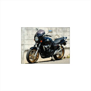 �o�C�N�p�[�c �O���V�b�N�f�U�C�� ���[�h�R���b�g C�^�q�`�A���u���[/�X���[�N RC45-CTBL/2 4547424012951CB400SF 04-07