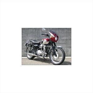 �o�C�N�p�[�c �O���V�b�N�f�U�C�� ���[�h�R���b�g2 LV���b�h/�X���[�N RCB48-LVRD/2 4548664683499W650